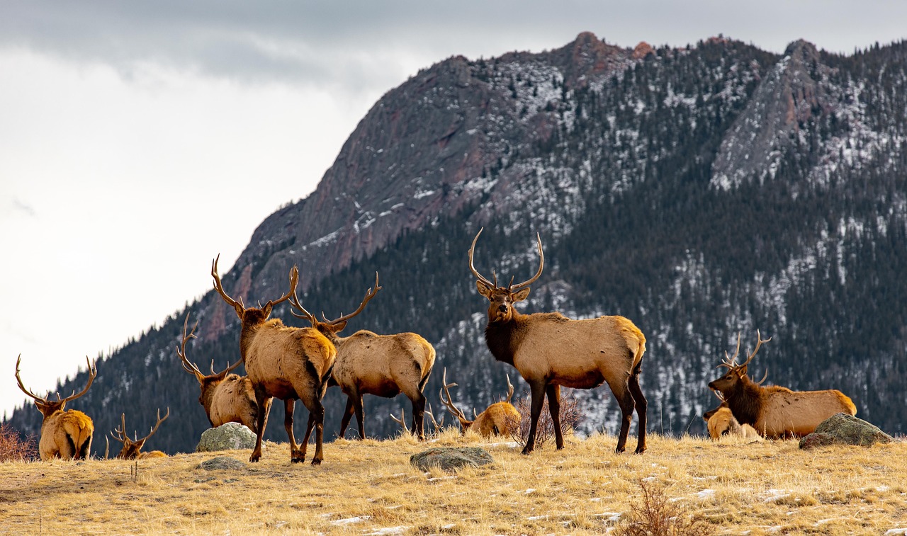Amerika Fly drive rondreis Northern Rockies 0